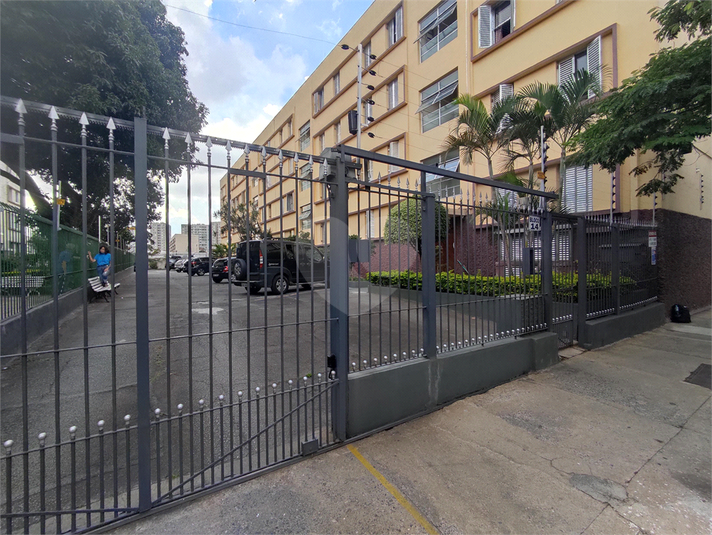 Foto REO842728
