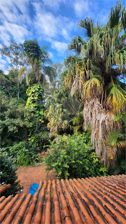 Venda Casa São Paulo Jardim Luzitânia REO843198 12