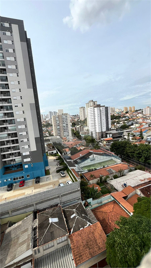 Foto REO843247