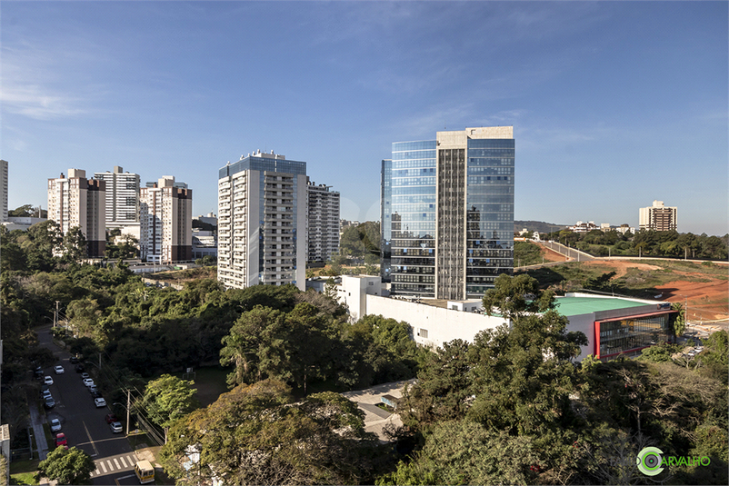 Foto REO843518