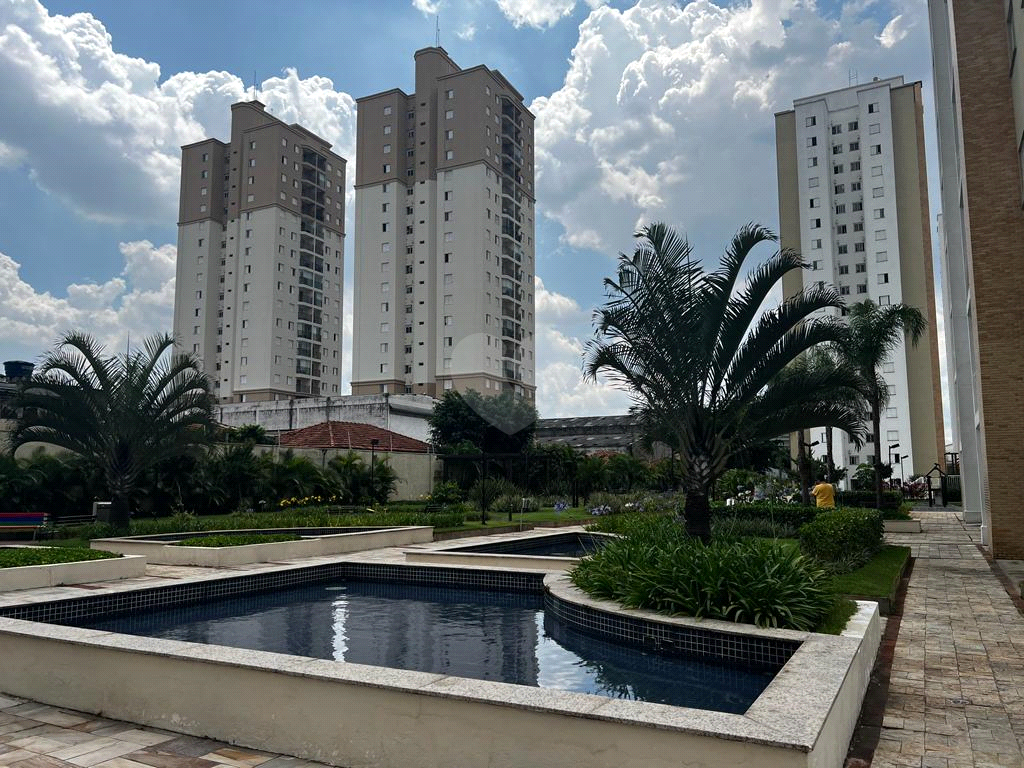 Venda Apartamento São Paulo Mooca REO843817 25