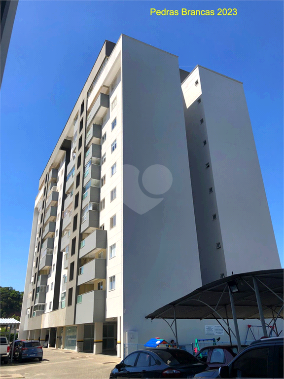 Venda Apartamento Camboriú Tabuleiro (monte Alegre) REO844133 4