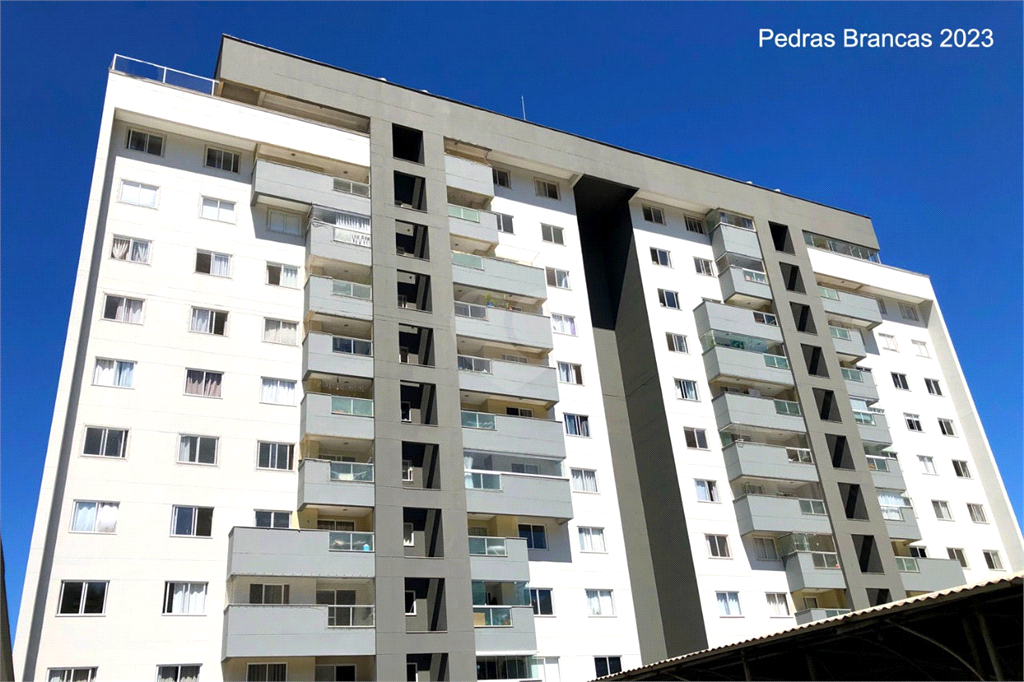 Venda Apartamento Camboriú Tabuleiro (monte Alegre) REO844133 3