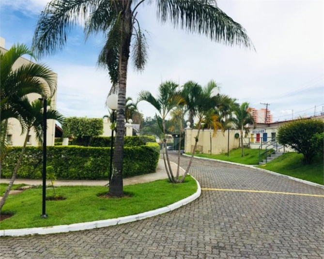 Foto REO844151