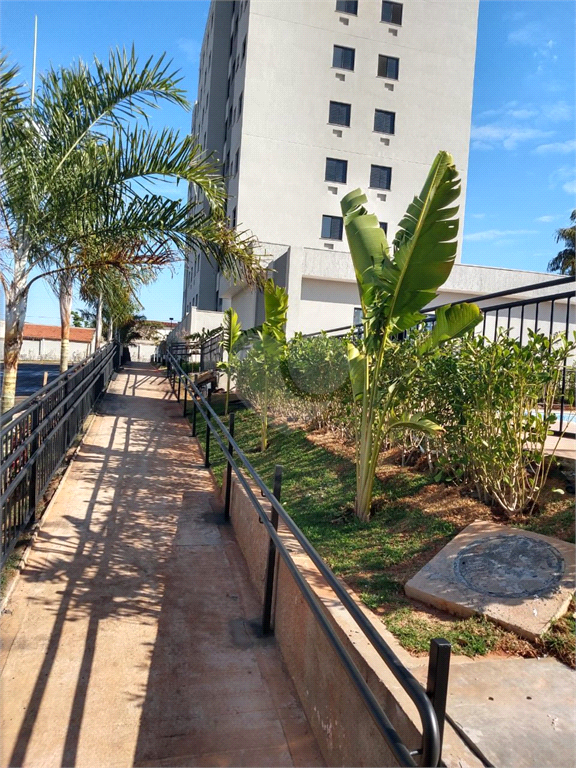 Venda Apartamento Bauru Jardim Terra Branca REO844161 5