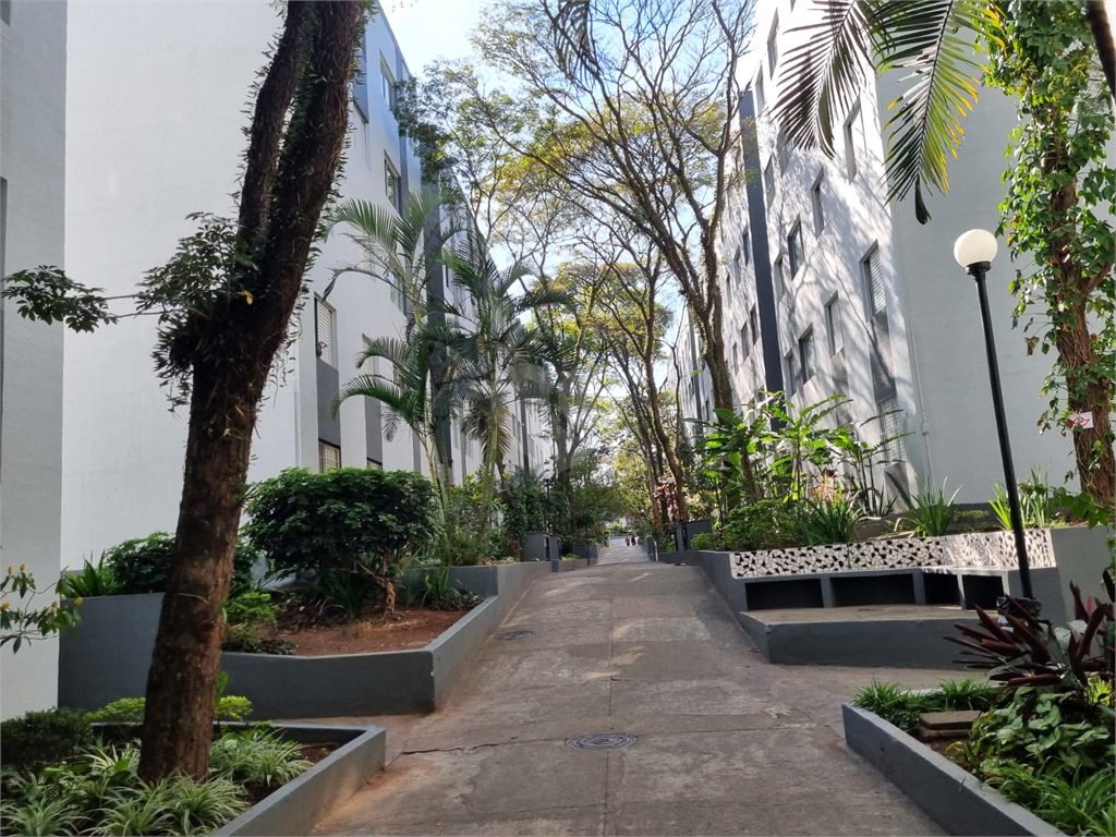 Venda Apartamento São Paulo Vila São Silvestre REO844533 14