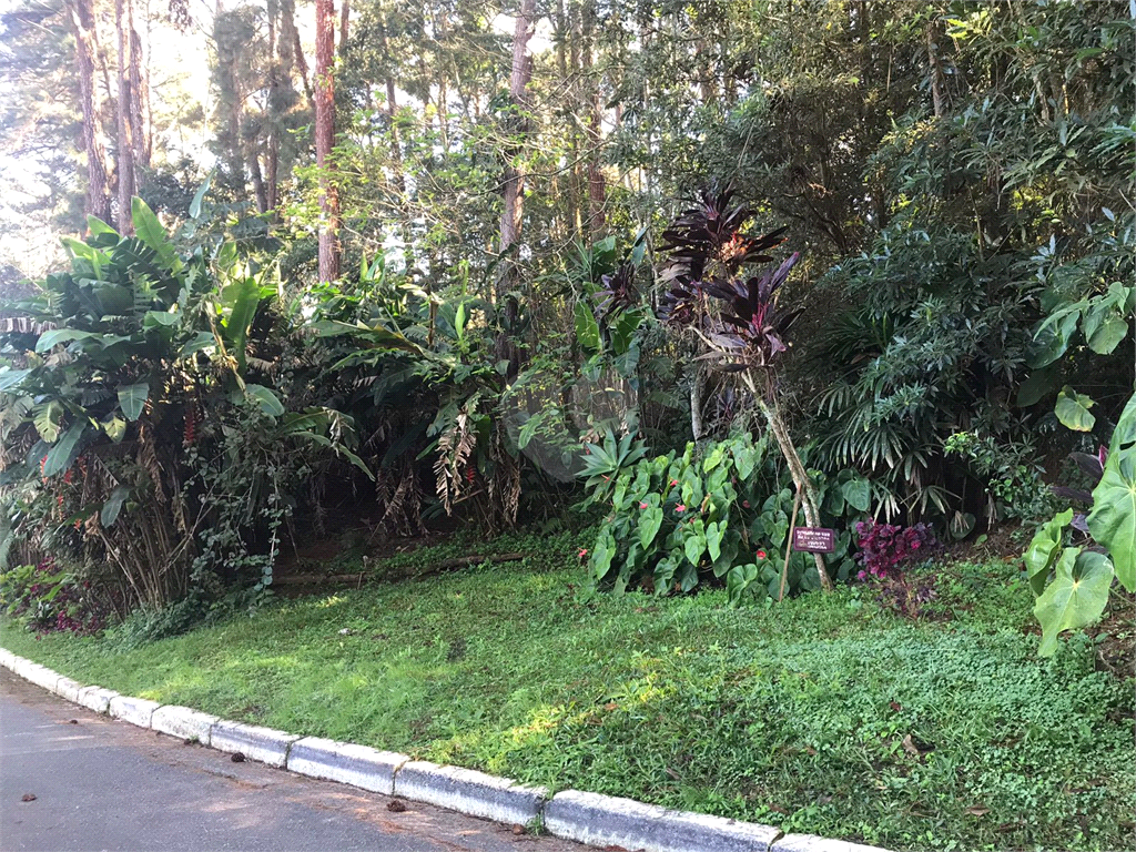 Venda Casa térrea São Paulo Vila Amélia REO844549 21