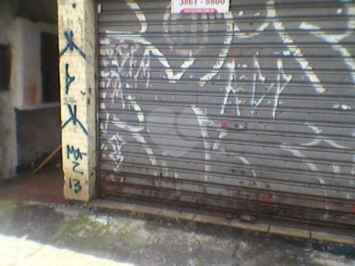 Foto REO84460