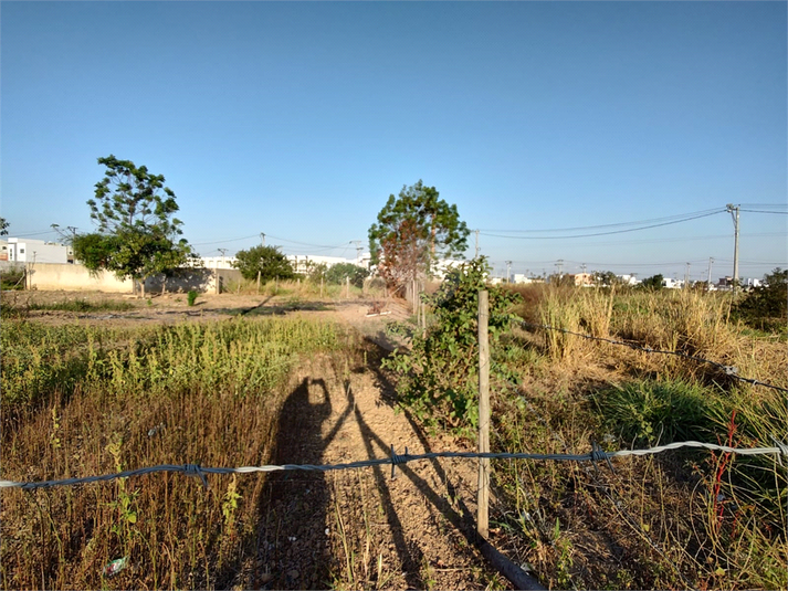 Venda Terreno Campos Dos Goytacazes Parque Tarcisio Miranda REO844627 5