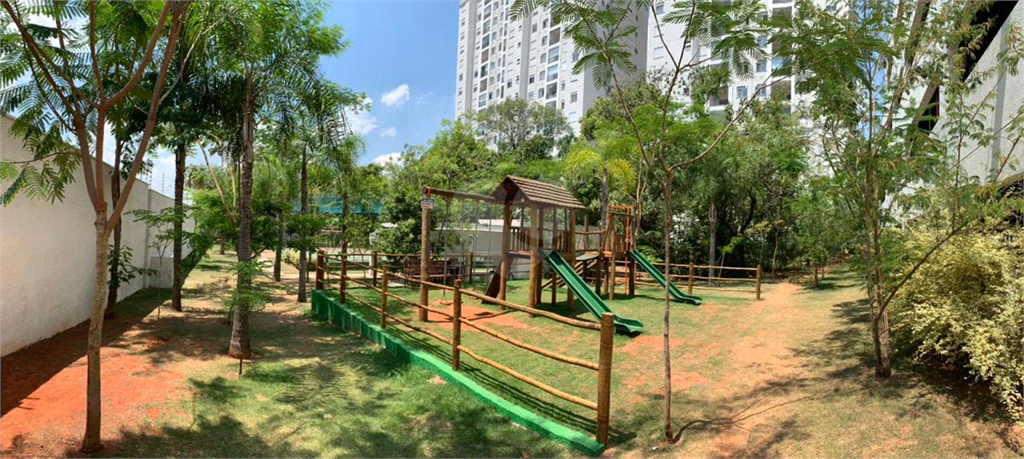 Aluguel Apartamento Jundiaí Jardim Ana Maria REO845417 5