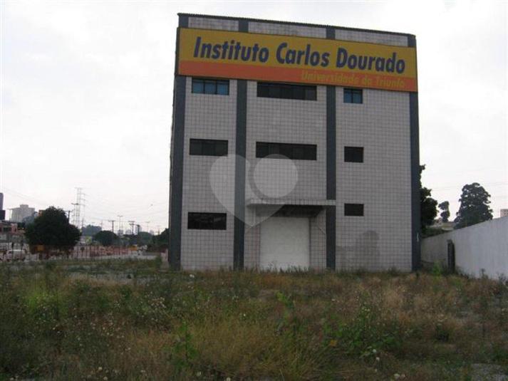 Foto REO84580