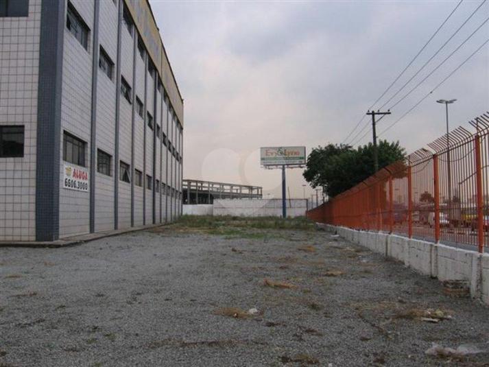 Foto REO84580