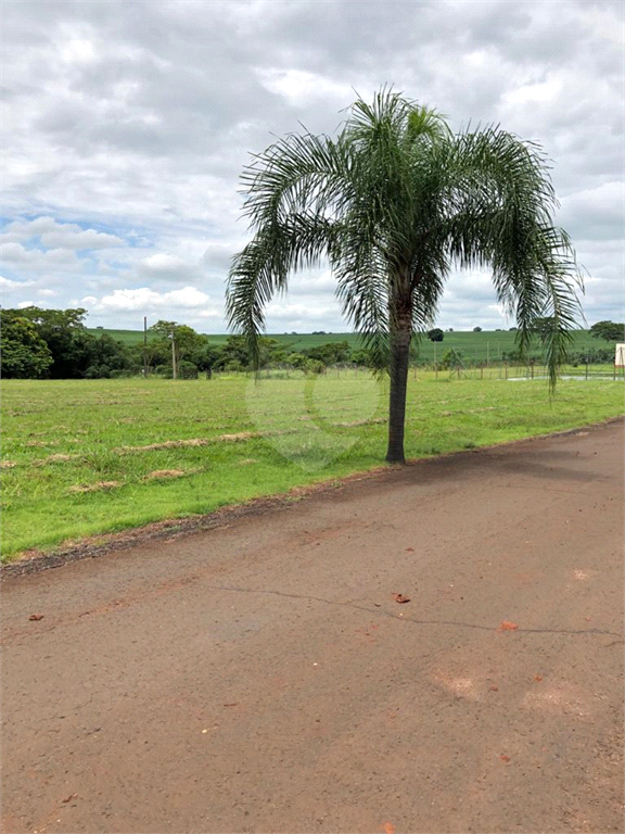 Venda Terreno Iacanga Área Rural De Iacanga REO846070 8