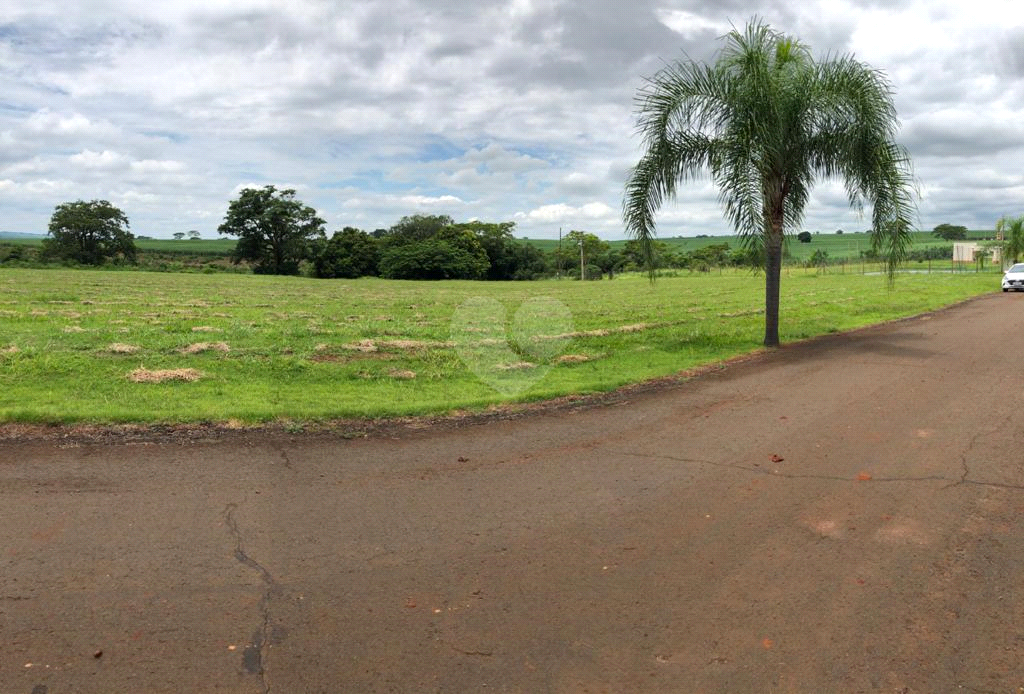 Venda Terreno Iacanga Área Rural De Iacanga REO846070 4