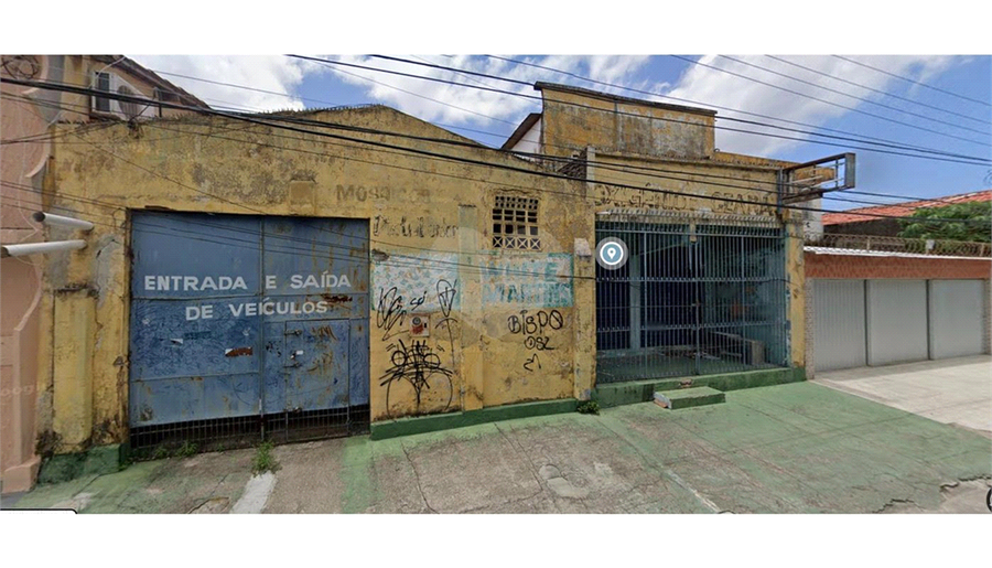 Foto REO846158