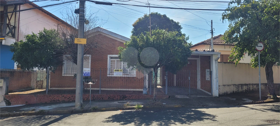 Foto REO847058