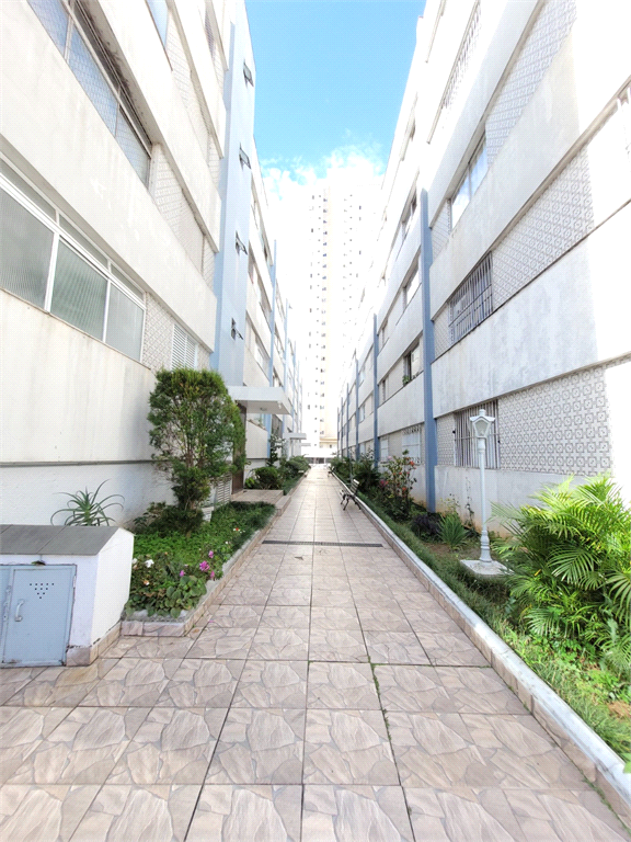 Venda Apartamento São Paulo Vila Medeiros REO847062 1