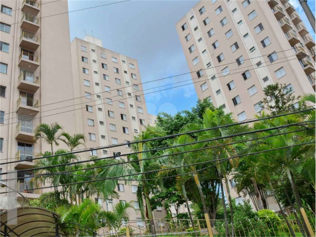 Venda Apartamento São Paulo Cangaíba REO847110 17