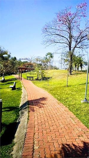 Foto REO849262