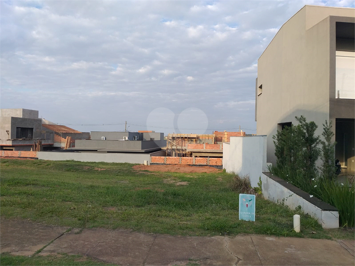 Foto REO849357