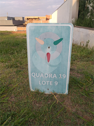 Foto REO849357