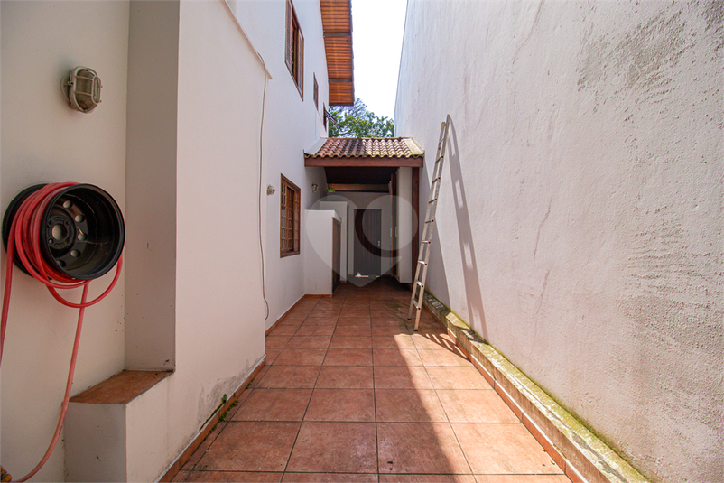 Foto REO849403
