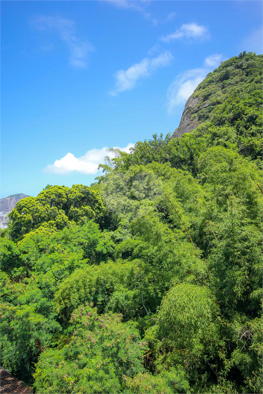 Venda Apartamento Rio De Janeiro Botafogo REO849719 35