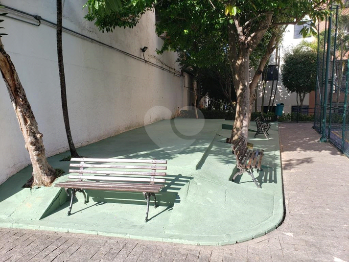 Foto REO850968