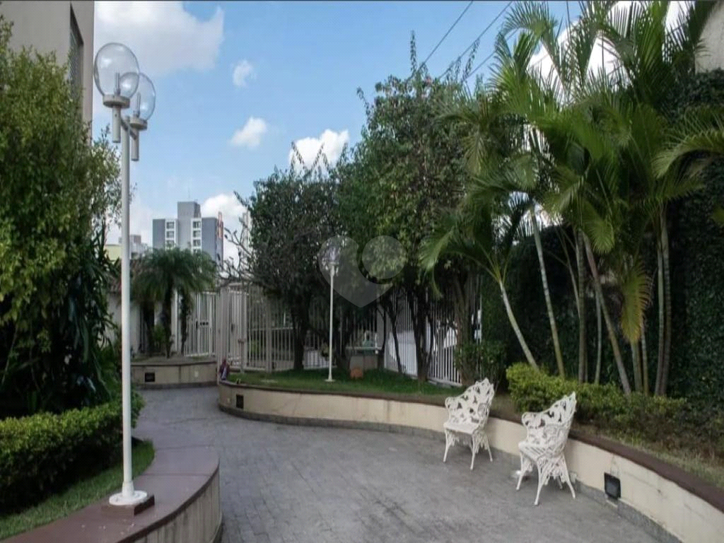 Venda Apartamento São Paulo Vila Paulicéia REO851125 28