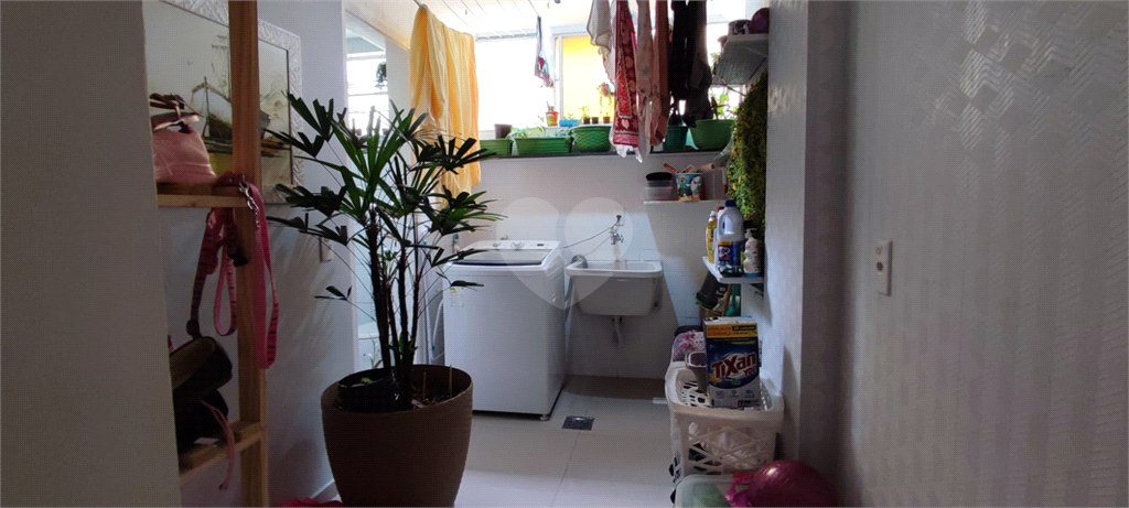 Venda Apartamento Campinas Vila João Jorge REO852471 6