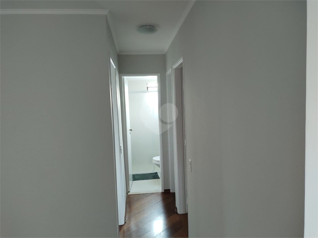 Venda Apartamento São Paulo Cambuci REO852539 2