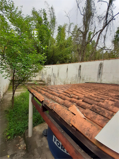 Foto REO852654