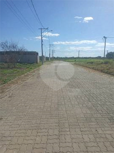 Foto REO852809