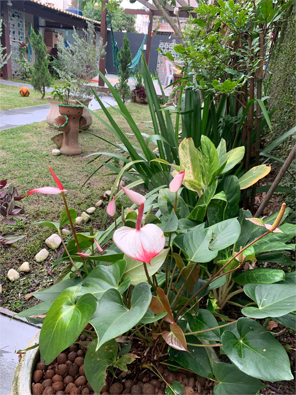 Venda Casa Rio De Janeiro Jardim Guanabara REO852890 11