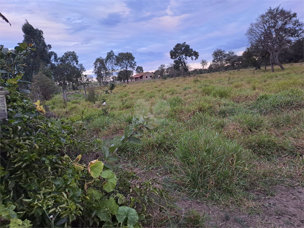 Venda Sítio Lençóis Paulista Área Rural De Lençóis Paulista REO853317 7