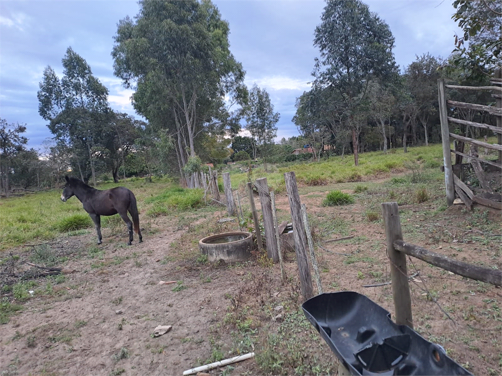 Venda Sítio Lençóis Paulista Área Rural De Lençóis Paulista REO853317 2