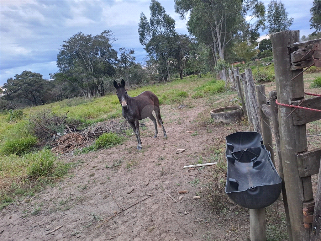 Venda Sítio Lençóis Paulista Área Rural De Lençóis Paulista REO853317 12