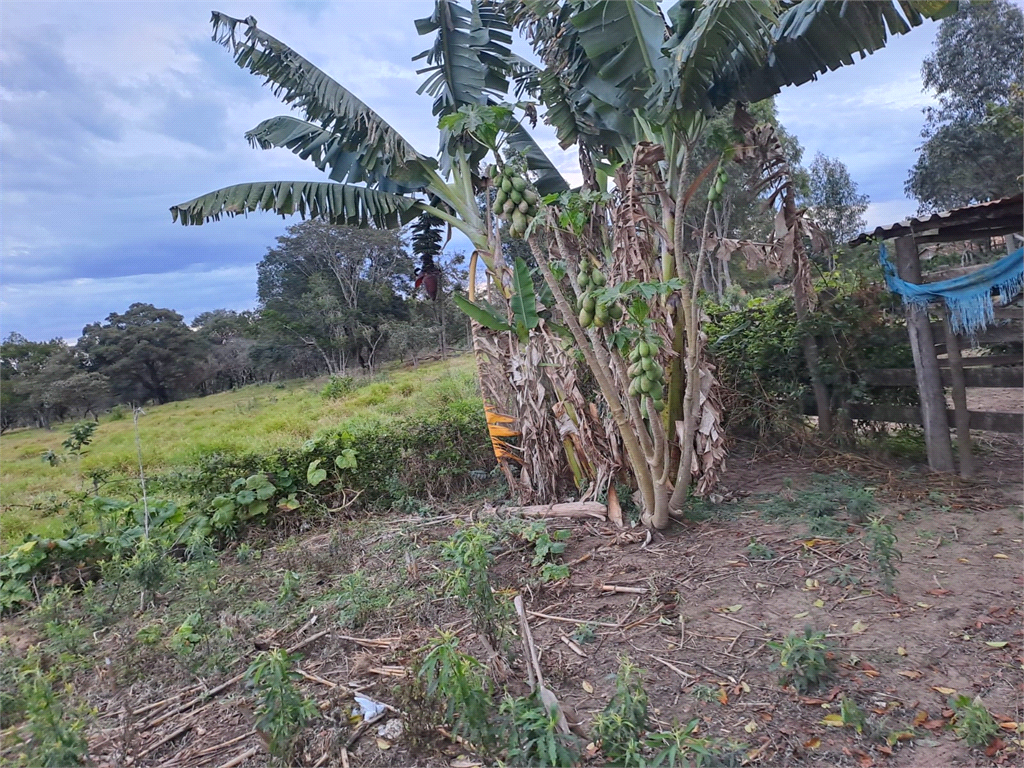 Venda Sítio Lençóis Paulista Área Rural De Lençóis Paulista REO853317 4