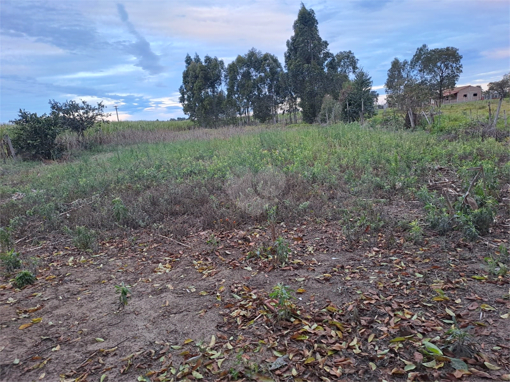 Venda Sítio Lençóis Paulista Área Rural De Lençóis Paulista REO853317 6