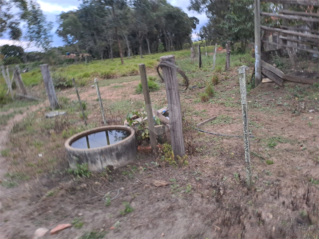 Venda Sítio Lençóis Paulista Área Rural De Lençóis Paulista REO853317 1