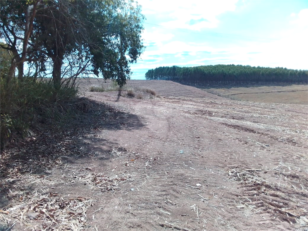 Venda Área de Terra Charqueada Área Rural De Charqueada REO853458 2