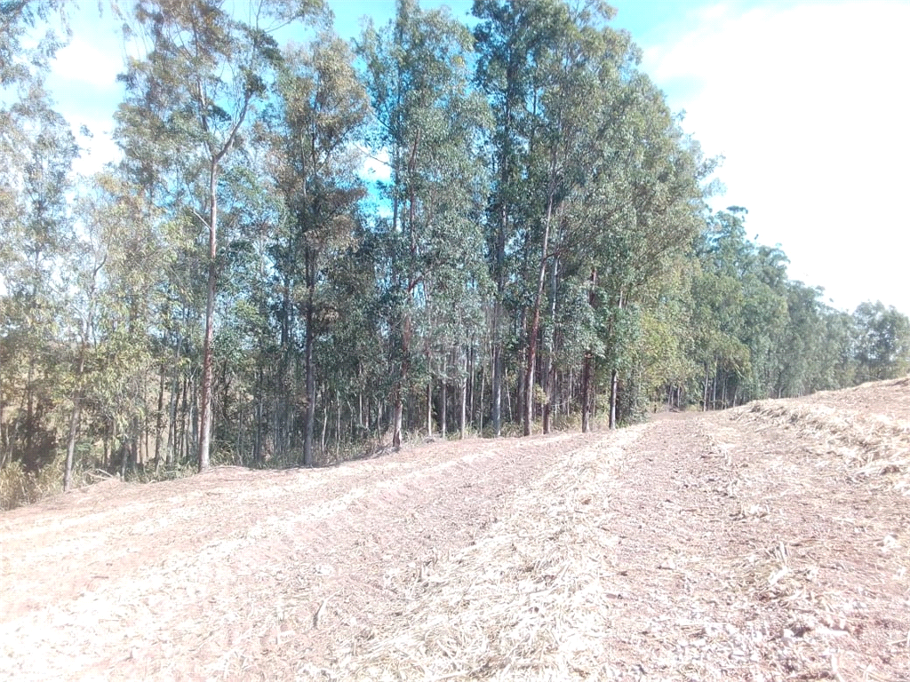 Venda Área de Terra Charqueada Área Rural De Charqueada REO853458 3