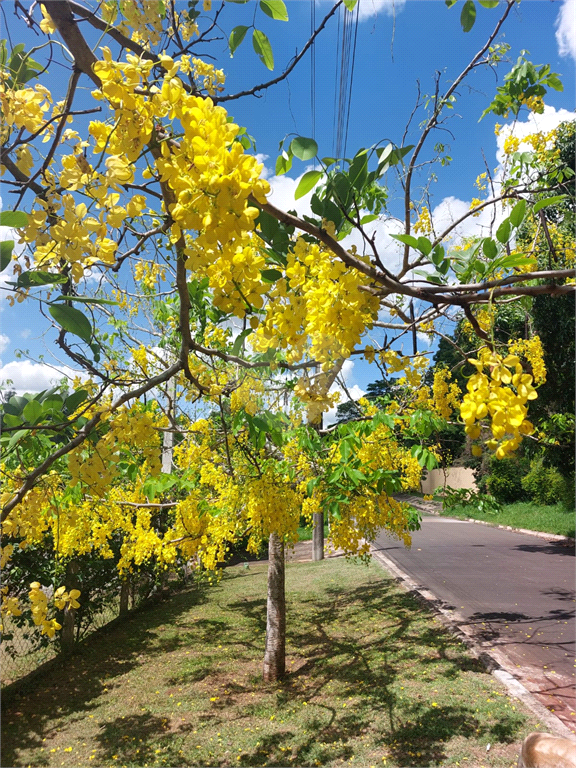 Venda Condomínio Pirassununga Cidade Jardim REO853796 13