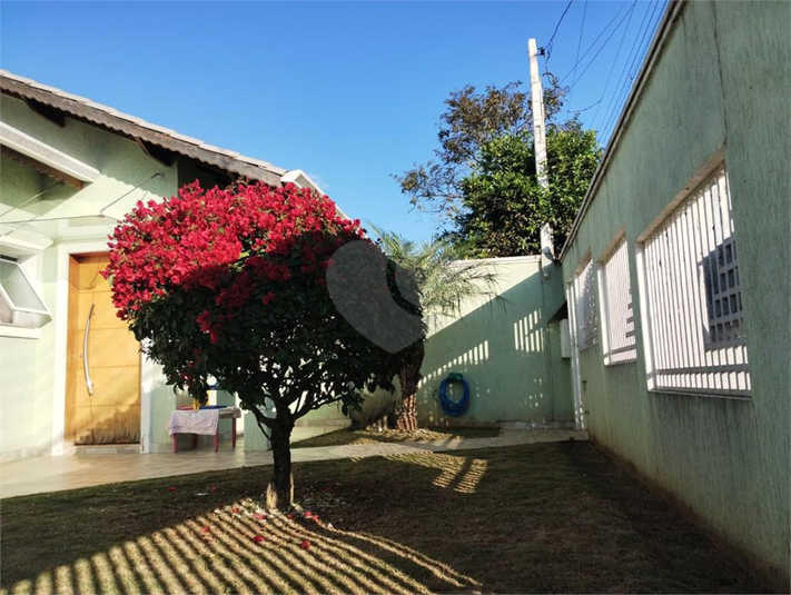 Foto REO853976