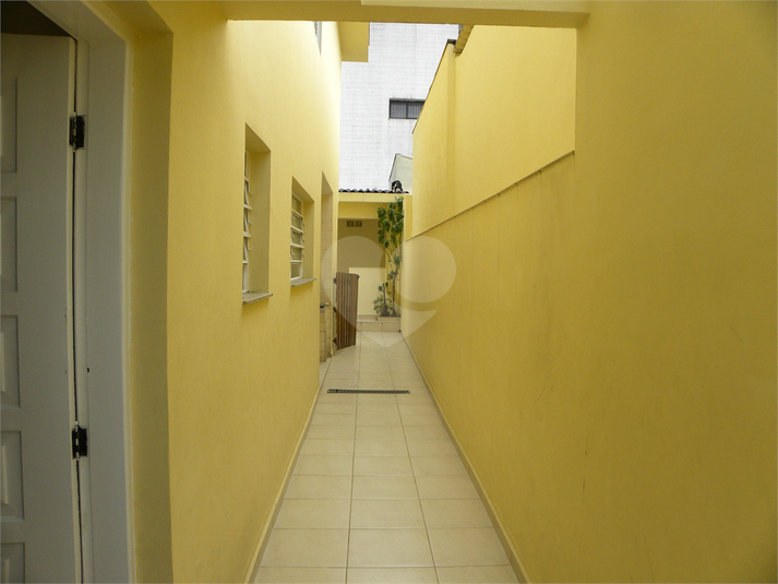 Foto REO854028