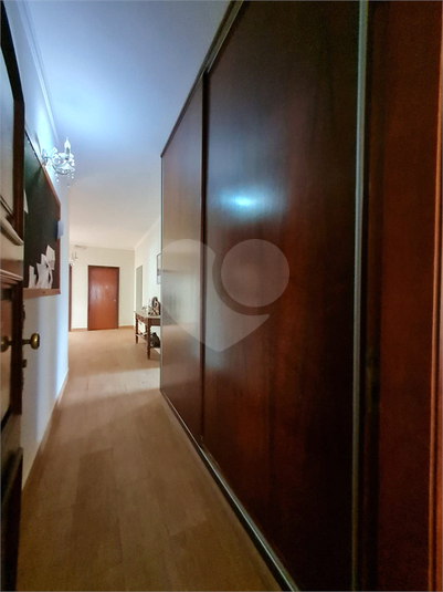 Foto REO854274