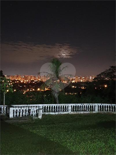 Foto REO854274