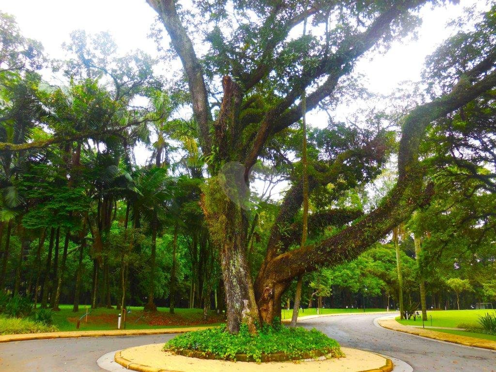 Venda Terreno São Paulo Santo Amaro REO85483 10