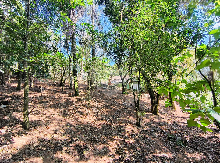 Foto REO855045