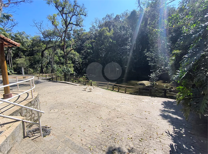 Foto REO855045